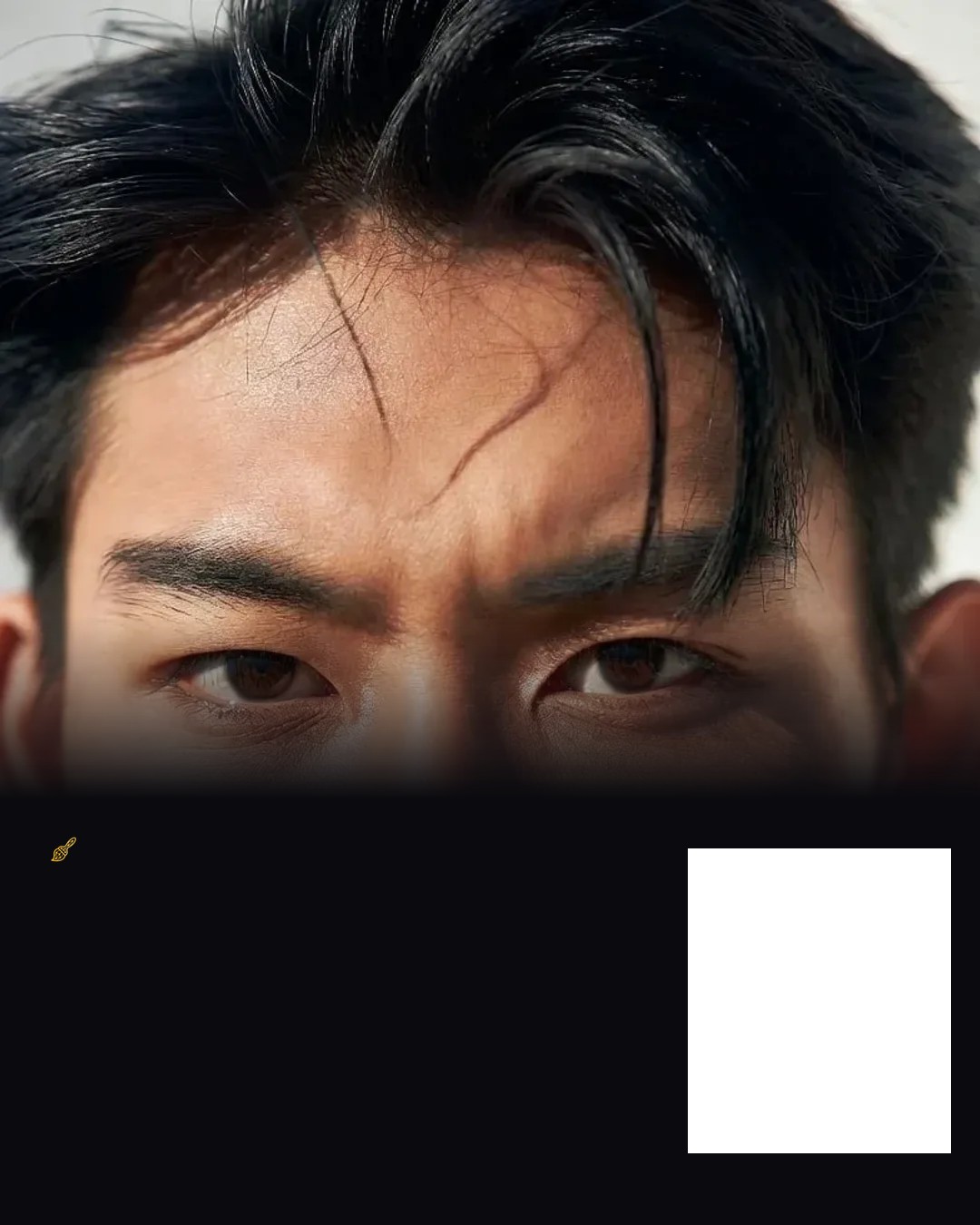 Poster · Chinese
